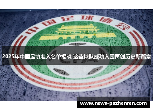 2025年中国足协准入名单揭晓 这些球队成功入围再创历史新篇章