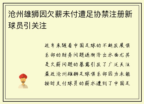 沧州雄狮因欠薪未付遭足协禁注册新球员引关注